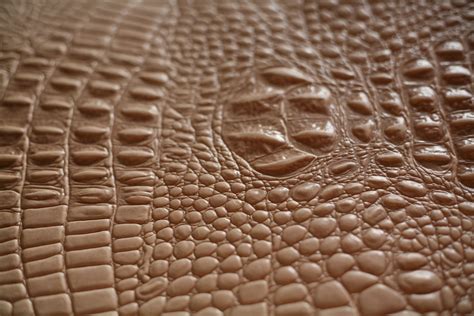 fake alligator skin clothing|faux crocodile leather.